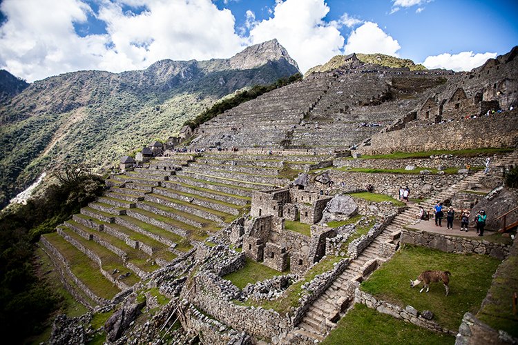 PER CUZ MachuPicchu 2014SEPT15 123