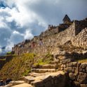 PER CUZ MachuPicchu 2014SEPT15 055 : 2014, 2014 - South American Sojourn, 2014 Mar Del Plata Golden Oldies, Alice Springs Dingoes Rugby Union Football Club, Americas, Cuzco, Date, Golden Oldies Rugby Union, Machupicchu, Month, Peru, Places, Pre-Trip, Rugby Union, September, South America, Sports, Teams, Trips, Year