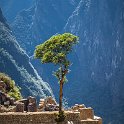 PER CUZ MachuPicchu 2014SEPT15 079 : 2014, 2014 - South American Sojourn, 2014 Mar Del Plata Golden Oldies, Alice Springs Dingoes Rugby Union Football Club, Americas, Cuzco, Date, Golden Oldies Rugby Union, Machupicchu, Month, Peru, Places, Pre-Trip, Rugby Union, September, South America, Sports, Teams, Trips, Year