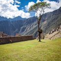 PER CUZ MachuPicchu 2014SEPT15 101 : 2014, 2014 - South American Sojourn, 2014 Mar Del Plata Golden Oldies, Alice Springs Dingoes Rugby Union Football Club, Americas, Cuzco, Date, Golden Oldies Rugby Union, Machupicchu, Month, Peru, Places, Pre-Trip, Rugby Union, September, South America, Sports, Teams, Trips, Year