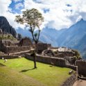 PER CUZ MachuPicchu 2014SEPT15 111 : 2014, 2014 - South American Sojourn, 2014 Mar Del Plata Golden Oldies, Alice Springs Dingoes Rugby Union Football Club, Americas, Cuzco, Date, Golden Oldies Rugby Union, Machupicchu, Month, Peru, Places, Pre-Trip, Rugby Union, September, South America, Sports, Teams, Trips, Year