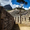 PER CUZ MachuPicchu 2014SEPT15 113 : 2014, 2014 - South American Sojourn, 2014 Mar Del Plata Golden Oldies, Alice Springs Dingoes Rugby Union Football Club, Americas, Cuzco, Date, Golden Oldies Rugby Union, Machupicchu, Month, Peru, Places, Pre-Trip, Rugby Union, September, South America, Sports, Teams, Trips, Year