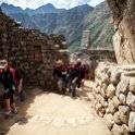 PER CUZ MachuPicchu 2014SEPT15 130 : 2014, 2014 - South American Sojourn, 2014 Mar Del Plata Golden Oldies, Alice Springs Dingoes Rugby Union Football Club, Americas, Cuzco, Date, Golden Oldies Rugby Union, Machupicchu, Month, Peru, Places, Pre-Trip, Rugby Union, September, South America, Sports, Teams, Trips, Year