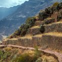 PER CUZ Pisac 2014SEPT13 050 : 2014, 2014 - South American Sojourn, 2014 Mar Del Plata Golden Oldies, Alice Springs Dingoes Rugby Union Football Club, Americas, Cuzco, Date, Golden Oldies Rugby Union, Month, Peru, Places, Pre-Trip, Písac, Rugby Union, September, South America, Sports, Teams, Trips, Year