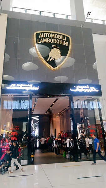UAE DUB Dubai 2017JAN07 009