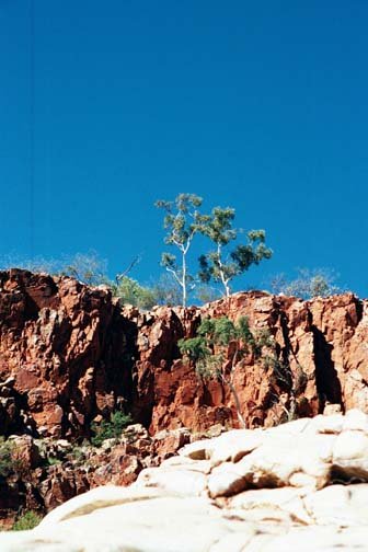 AUS NT OrmistonGorge 2001JUL11 011