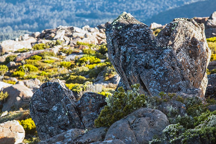 AUS TAS MountWellington 2015JAN24 021