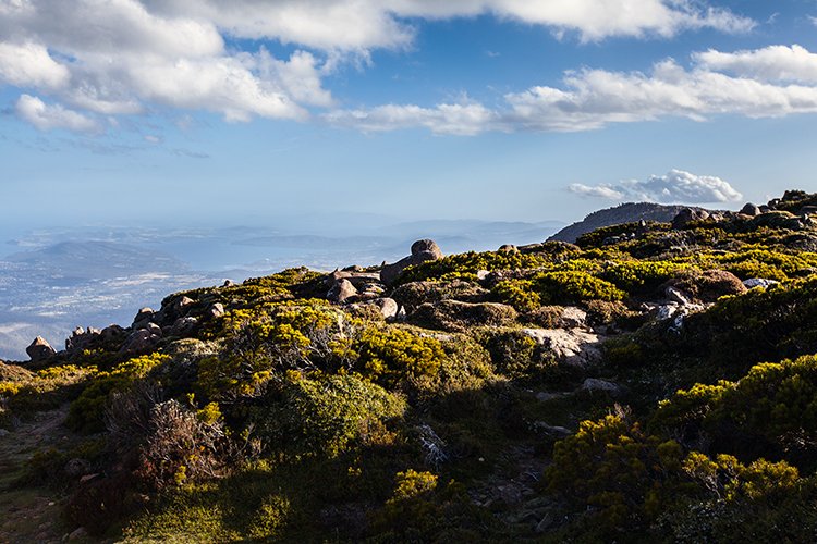 AUS TAS MountWellington 2015JAN24 044