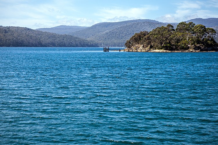 AUS TAS PortArthur 2015JAN24 058