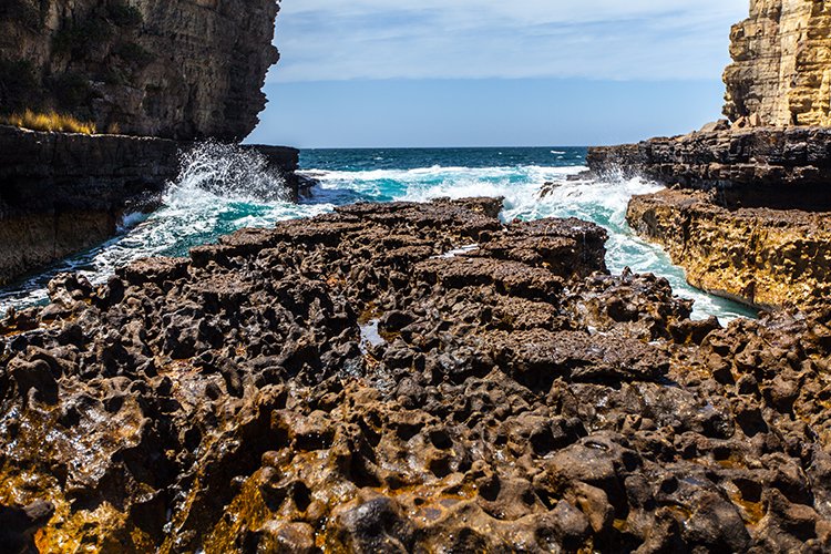 AUS TAS TasmanNP 2015JAN24 TheBlowhole 033