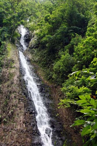 PYF Tahiti FaarumaiWaterfalls 2007FEB13 HaamaremareIti 001