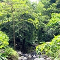 PYF Tahiti FaarumaiWaterfalls 2007FEB13 Vaimahuta 007 : 2007, 2007 - Gone Troppo In Tahiti, Date, Faarumai Waterfalls, February, French Polynesia, Month, Oceania, Places, Tahiti, Trips, Vaimahuta, Year