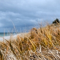 NZL BOP Pukehina 2011SEPT15 MaramaruaPark 004 : 2011, 2011 - Rugby World Cup, Bay Of Plenty, Date, Maramarua Park, Month, New Zealand, Oceania, Places, Pukehina, September, Trips, Year