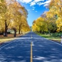 NZL CAN Puaha 2018APR24 001  Driving into   Puaha  , was like meandering through an English back country roads during the Autumn. There was very little traffic and the turning of the leaves made for a spectacular backdrop. : - DATE, - PLACES, - TRIPS, 10's, 2018, 2018 - Kiwi Kruisin, April, Canterbury, Day, Month, New Zealand, Oceania, Puaha, Tuesday, Year
