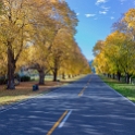 NZL CAN Puaha 2018APR24 004 : - DATE, - PLACES, - TRIPS, 10's, 2018, 2018 - Kiwi Kruisin, April, Canterbury, Day, Month, New Zealand, Oceania, Puaha, Tuesday, Year