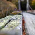 NZL STL Clifden 2018MAY05 SuspensionBridge 014 : - DATE, - PLACES, - TRIPS, 10's, 2018, 2018 - Kiwi Kruisin, Clifden, Day, May, Month, New Zealand, Oceania, Saturday, Southland, Suspension Bridge, Year