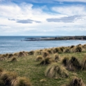 NZL STL SlopePoint 2018MAY06 004 : - DATE, - PLACES, - TRIPS, 10's, 2018, 2018 - Kiwi Kruisin, Day, May, Month, New Zealand, Oceania, Slope Point, Southland, Sunday, Year