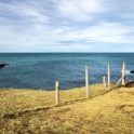 NZL STL SlopePoint 2018MAY06 022 : - DATE, - PLACES, - TRIPS, 10's, 2018, 2018 - Kiwi Kruisin, Day, May, Month, New Zealand, Oceania, Slope Point, Southland, Sunday, Year