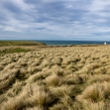 NZL STL SlopePoint 2018MAY06 028 : - DATE, - PLACES, - TRIPS, 10's, 2018, 2018 - Kiwi Kruisin, Day, May, Month, New Zealand, Oceania, Slope Point, Southland, Sunday, Year