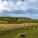 NZL STL SlopePoint 2018MAY06 029 : - DATE, - PLACES, - TRIPS, 10's, 2018, 2018 - Kiwi Kruisin, Day, May, Month, New Zealand, Oceania, Slope Point, Southland, Sunday, Year