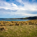 NZL STL SlopePoint 2018MAY06 031 : - DATE, - PLACES, - TRIPS, 10's, 2018, 2018 - Kiwi Kruisin, Day, May, Month, New Zealand, Oceania, Slope Point, Southland, Sunday, Year