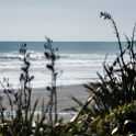 NZL WKO AwakinoHeads 2011SEPT10 008 : 2011, 2011 - Rugby World Cup, Awakino Heads, Date, Month, New Zealand, Oceania, Places, September, Trips, Waikato, Year