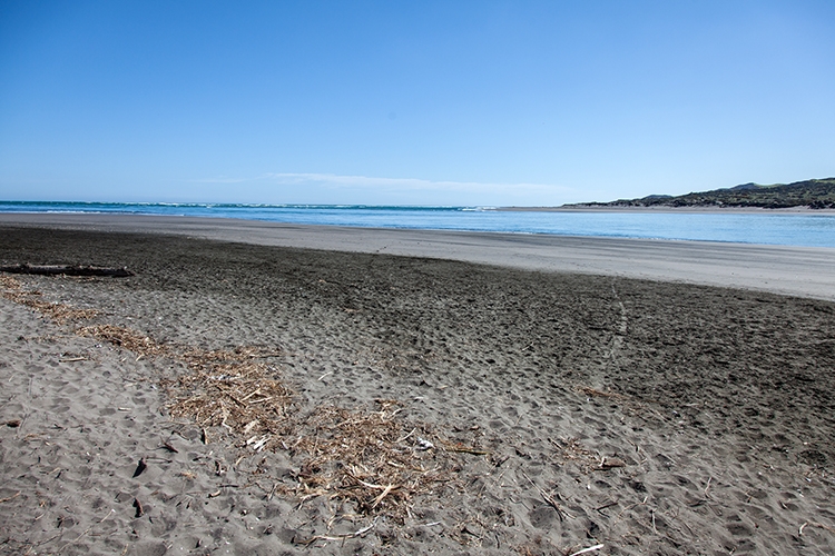 NZL WKO Raglan 2011SEPT10 WainamuBeach 006