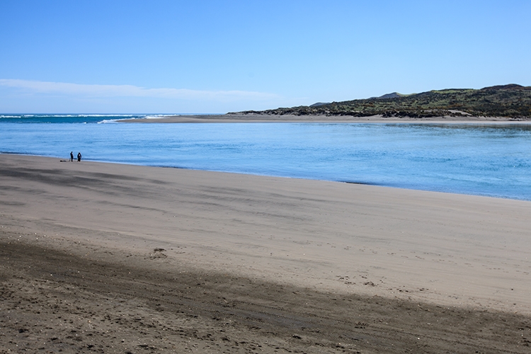 NZL WKO Raglan 2011SEPT10 WainamuBeach 021