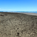 NZL WKO Raglan 2011SEPT10 WainamuBeach 008 : 2011, 2011 - Rugby World Cup, Date, Month, New Zealand, Oceania, Places, Raglan, September, Trips, Waikato, Wainamu Beach, Year