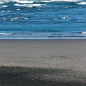 NZL WKO Raglan 2011SEPT10 WainamuBeach 024 : 2011, 2011 - Rugby World Cup, Date, Month, New Zealand, Oceania, Places, Raglan, September, Trips, Waikato, Wainamu Beach, Year