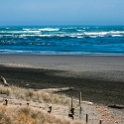 NZL WKO Raglan 2011SEPT10 WainamuBeach 025 : 2011, 2011 - Rugby World Cup, Date, Month, New Zealand, Oceania, Places, Raglan, September, Trips, Waikato, Wainamu Beach, Year