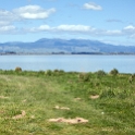 NZL WGN Featherston 2011SEPT22 LakeWairarapa003 : 2011, 2011 - Rugby World Cup, Date, Featherston, Lake Wairarapa, Month, New Zealand, Oceania, Places, September, Trips, Wellington, Year