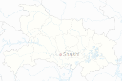 Shashi