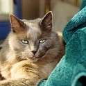 1999MAY