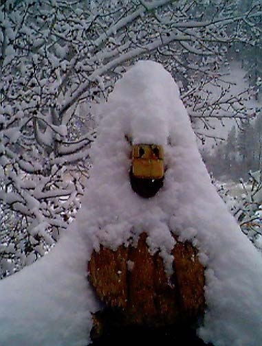 USA ID WildernessRanch 1998DEC25 004