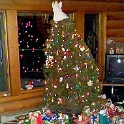 USA ID WildernessRanch 1998DEC25 001  The Christmas tree before the Fitzgerald's arrived. : 1998, Americas, Christmas, Date, December, Events, Idaho, Month, North America, Places, USA, Widerness Ranch, Year