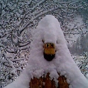 USA ID WildernessRanch 1998DEC25 004  Ever see a Ku Klux Klan bear?  This is a carved wooden bear that sits on the front porch. : 1998, Americas, Christmas, Date, December, Events, Idaho, Month, North America, Places, USA, Widerness Ranch, Year