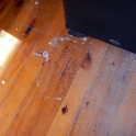 7Goldsworthy UL Lounge 2017JUN16 010 : 2017, 7 Goldsworthy Street, Australia, Date, Fitzy's Poverty Palaces, Houses, Interior, June, Lounge Room, Month, Places, QLD, Townsville, Year