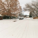 USA ID Boise 7011WAshland EHF Yard 2003DEC24 005  If you look closely, you will see my maple still has leaves on it. : 2003, 7011 West Ashland, Americas, Boise, December, Front Yard, Idaho, North America, USA
