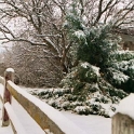 USA ID Boise 7011WAshland EHF Yard 2003DEC24 011 : 2003, 7011 West Ashland, Americas, Boise, December, Front Yard, Idaho, North America, USA