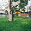USA ID Boise 7011WAshland EXT Rear 2001MAR30 003  There's a couple of big old trees that give off great amount of shade. : 2001, 7011 West Ashland, Americas, Back Yard, Boise, Idaho, March, North America, USA