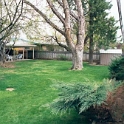 USA ID Boise 7011WAshland EXT Rear 2001MAR30 005  I've got an assortment of power, telephone and cable TV wires running down the back fence. But you don't really notice them. : 2001, 7011 West Ashland, Americas, Back Yard, Boise, Idaho, March, North America, USA