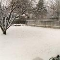 USA ID Boise 7011WAshland EHR Yard 2003DEC24 001  Yippee!!!! I have snow in the back yard. : 2003, 7011 West Ashland, Americas, Back Yard, Boise, December, Idaho, North America, USA