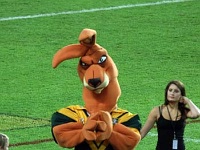AUS NSW Sydney 2006NOV25 AussieStadium Roos v Kiwis 009 : 2006, 2006 - Where The Farq Is Fitzy, ARL, Aussie Stadium, Australia, Kangaroos, Kiwis, November, NSW, NZRL, Rugby League, Sydney, Sydney Football Stadium