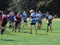 AUS NSW Sydney 2010SEPT29 GO v CentralWestOldBulls 003 : 2010, 2010 Sydney Golden Oldies, Australia, Central West Old Bulls, Date, Golden Oldies Rugby Union, Month, NSW, Places, Rugby Union, September, Sports, Sydney, Teams, Year