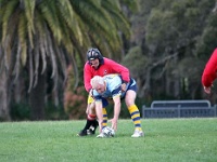 AUS NSW Sydney 2010SEPT29 GO v CentralWestOldBulls 022 : 2010, 2010 Sydney Golden Oldies, Australia, Central West Old Bulls, Date, Golden Oldies Rugby Union, Month, NSW, Places, Rugby Union, September, Sports, Sydney, Teams, Year