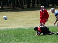 AUS NSW Sydney 2010SEPT29 GO v CentralWestOldBulls 046 : 2010, 2010 Sydney Golden Oldies, Australia, Central West Old Bulls, Date, Golden Oldies Rugby Union, Month, NSW, Places, Rugby Union, September, Sports, Sydney, Teams, Year