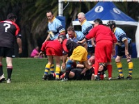 AUS NSW Sydney 2010SEPT29 GO v CentralWestOldBulls 051 : 2010, 2010 Sydney Golden Oldies, Australia, Central West Old Bulls, Date, Golden Oldies Rugby Union, Month, NSW, Places, Rugby Union, September, Sports, Sydney, Teams, Year