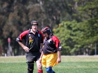 AUS NSW Sydney 2010SEPT29 GO v CentralWestOldBulls 066 : 2010, 2010 Sydney Golden Oldies, Australia, Central West Old Bulls, Date, Golden Oldies Rugby Union, Month, NSW, Places, Rugby Union, September, Sports, Sydney, Teams, Year