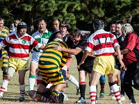 JPN KYU Fukuoka 2012NOV02 GO Day03 013 : 2012, 2012 Fukuoka Golden Oldies, Alice Springs Dingoes Rugby Union Football CLub, Asia, Date, Fukuoka, Fukuoka Prefecture, Golden Oldies Rugby Union, Japan, Month, November, Places, Region Kyushu, Rugby Union, Sports, Year